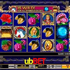 Explorando a Categoria de Eventos em Apostas na ubbet